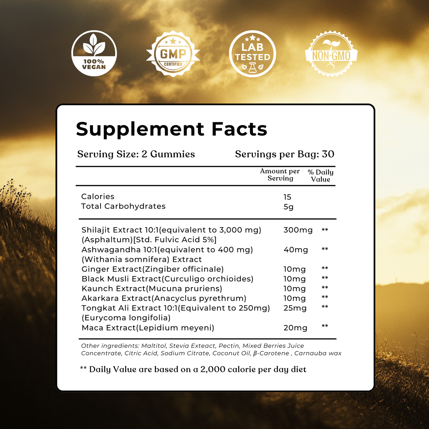 SHILAJIT GUMMIES