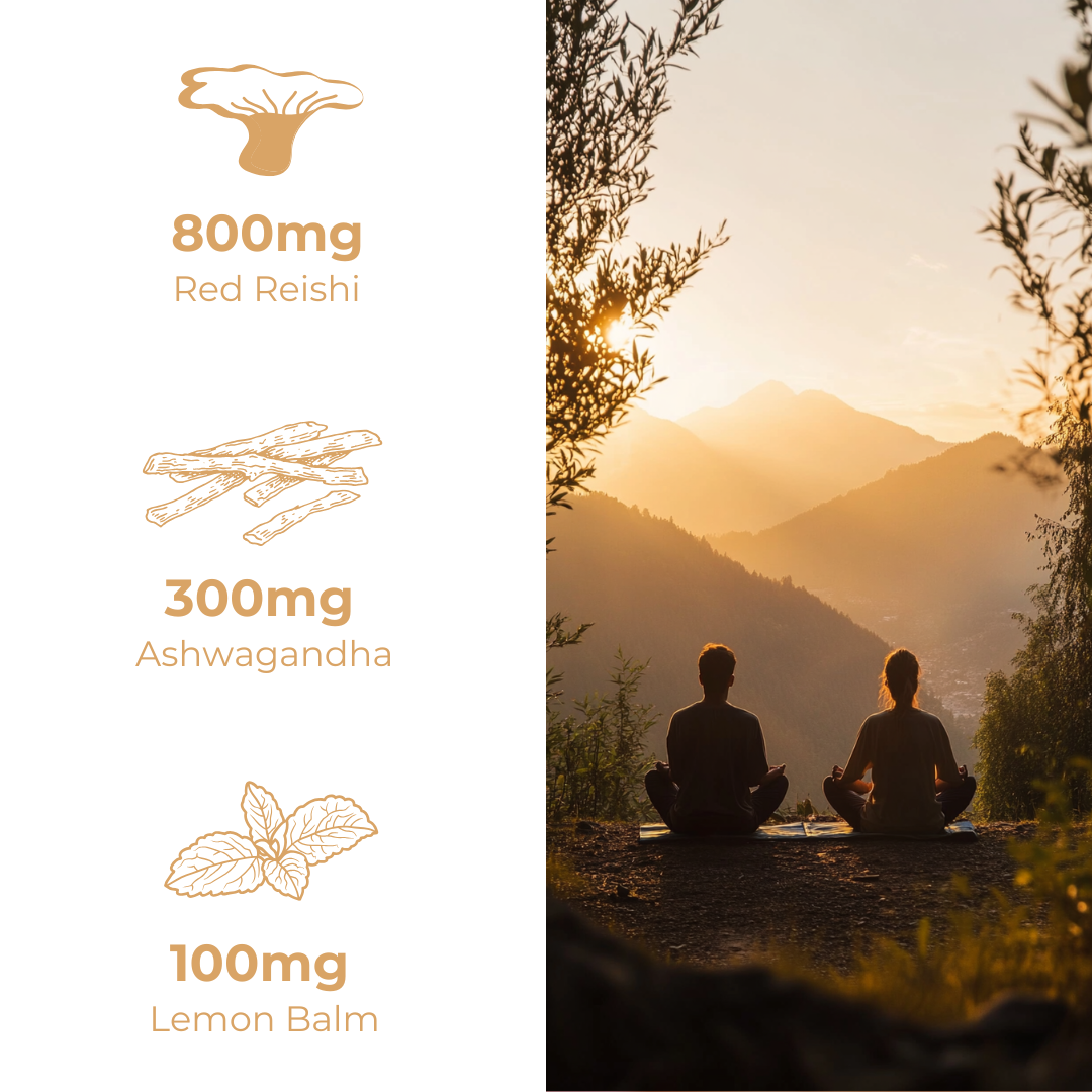 REISHI CALM GUMMIES