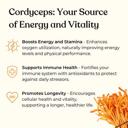 CORDYCEPS ENERGY GUMMIES