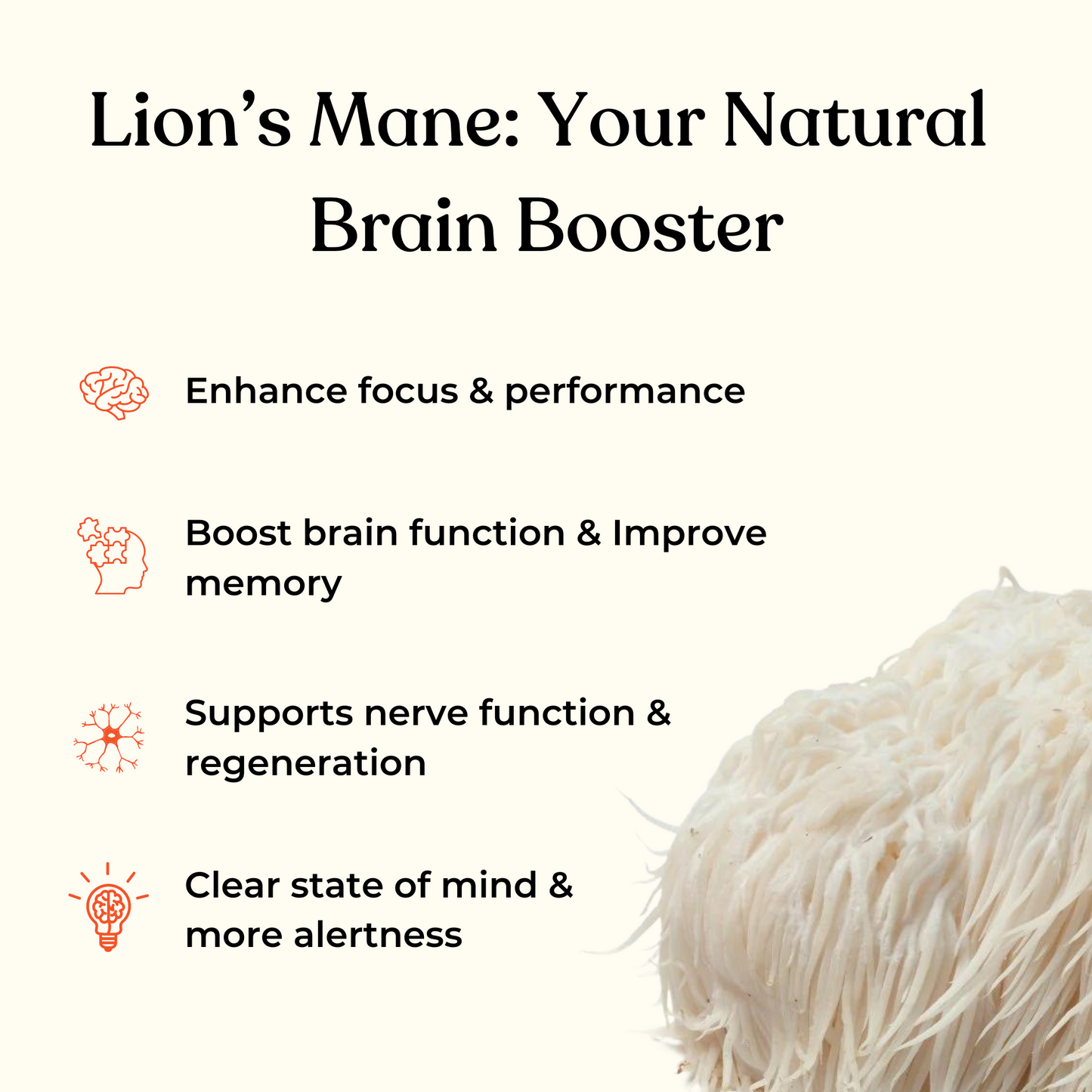 LION'S MANE FOCUS GUMMIES