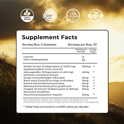 SHILAJIT GUMMIES